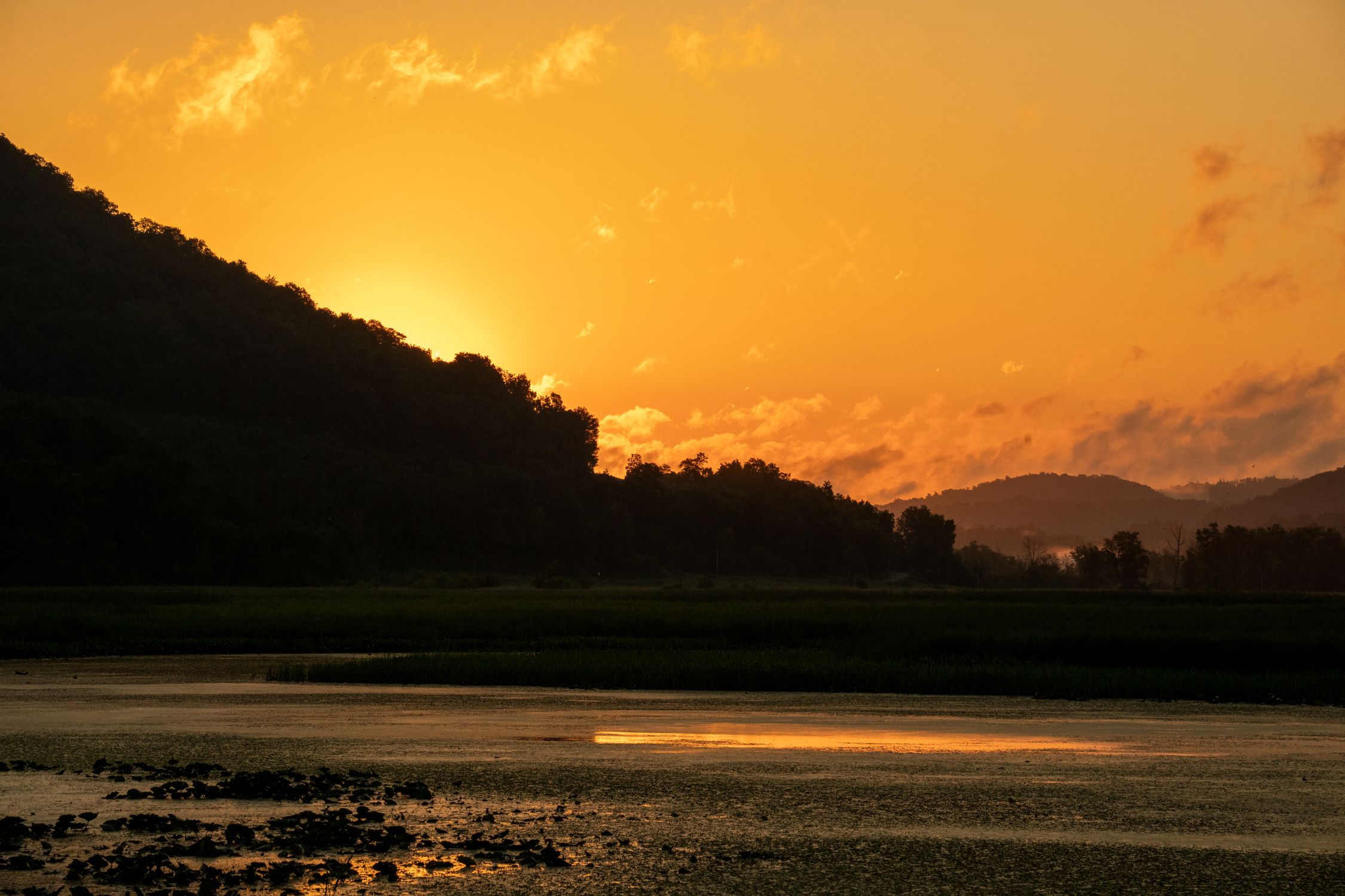 Green Trees Near Body of Water during Sunset · Free Stock Photo