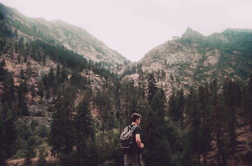 男子站立和麵對樹木和灰色岩石山照片