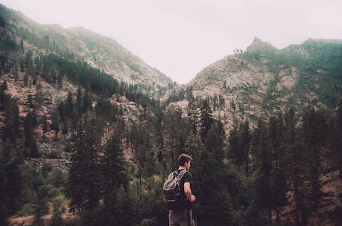 Man Standing and Facing Trees and Gray Rock Mountain Photo