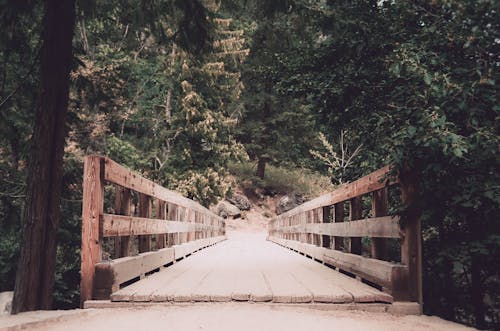 Brown Wooden Bridge With Trees Landscape Photography