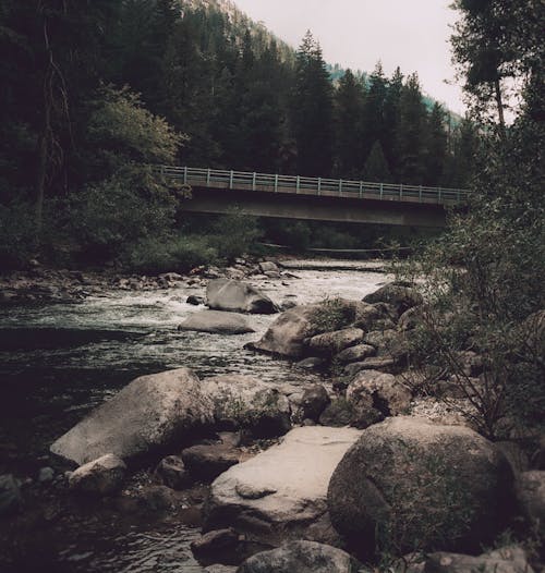 Free stock photo of bridge, explore, hike