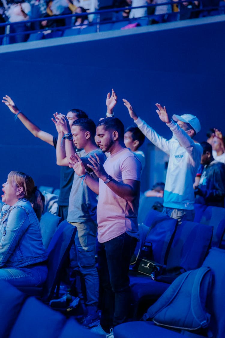 Audience At Concert