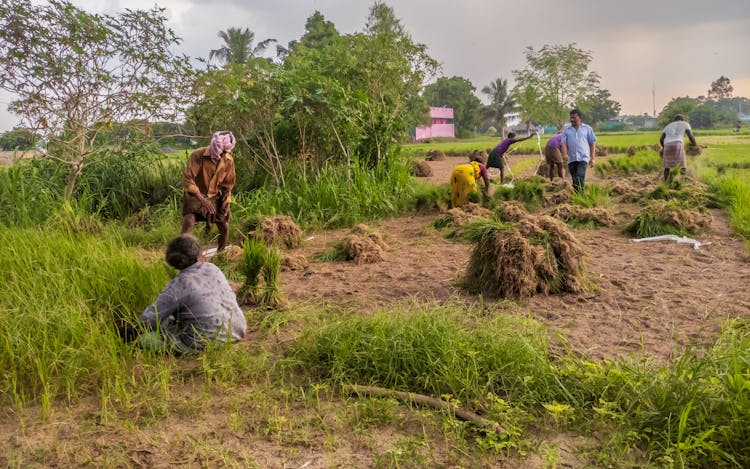 People Working In Field In Countryside