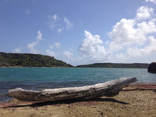 Free stock photo of beach, curacao, drift Stock Photo