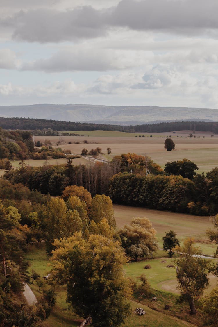 Aerial View Of An Autumnal Rolling Landscape 