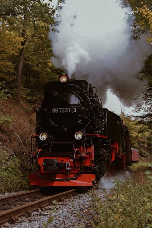Train on Railway Riding Through a Forest 