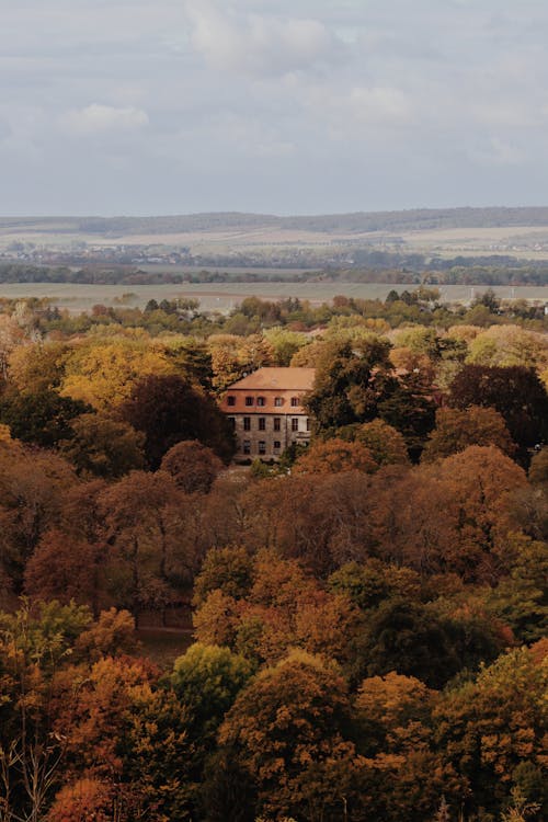 Aerial View of a House Between Autumnal Trees
