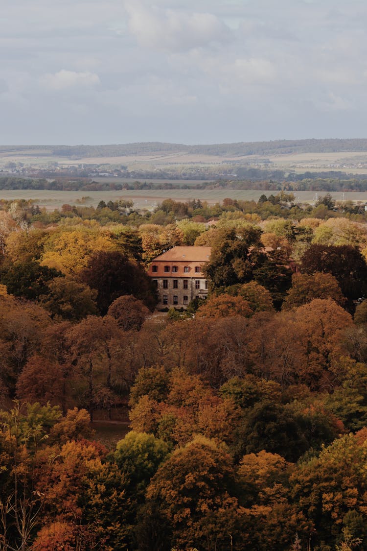 Aerial View Of A House Between Autumnal Trees