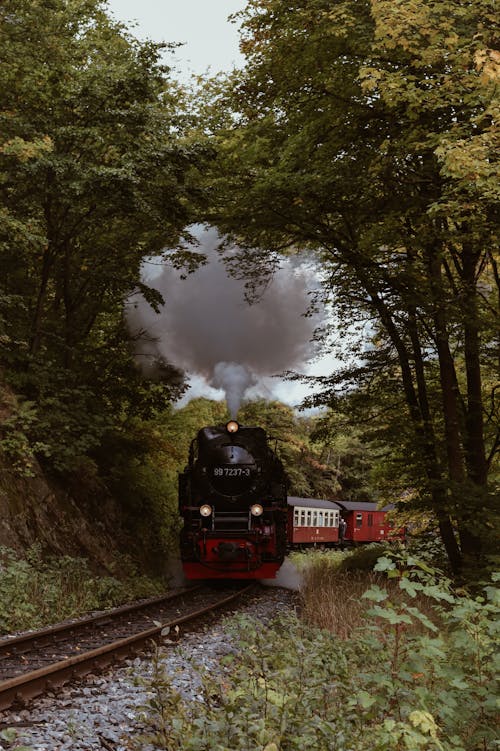 가을, 교통, 기관차의 무료 스톡 사진