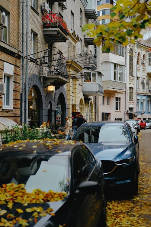 Cars Covered in Autumn Leaves Parked in a City 