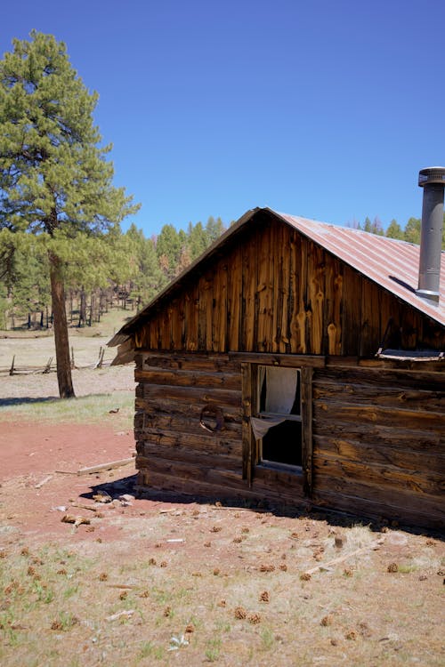 Brown Cabin Near Green Trees Under Blue Sky