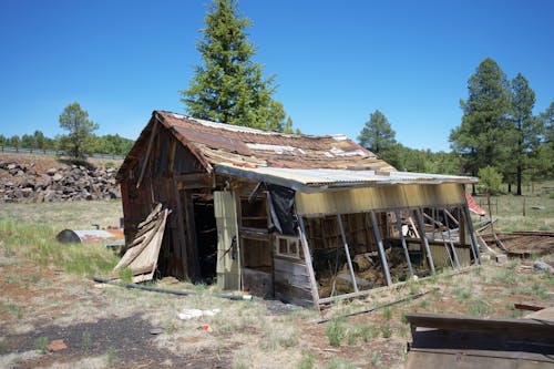 Abandoned, Damaged Wooden Cabin on a Field 