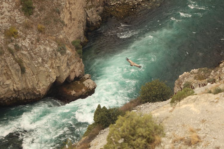 Aerial Photography Of River