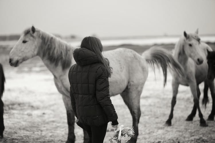 Woman Near Horses In Nature