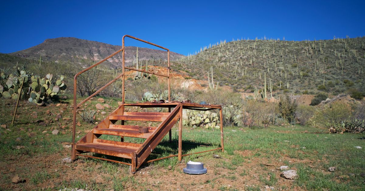 Rusty Maintenance Platform Old Rusty Platform in a Rural Area · Free Stock Photo