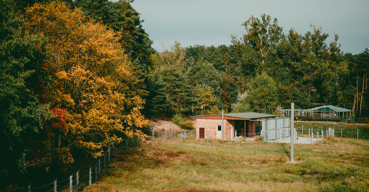A secluded house amidst vibrant autumn foliage, perfect for serene countryside living.