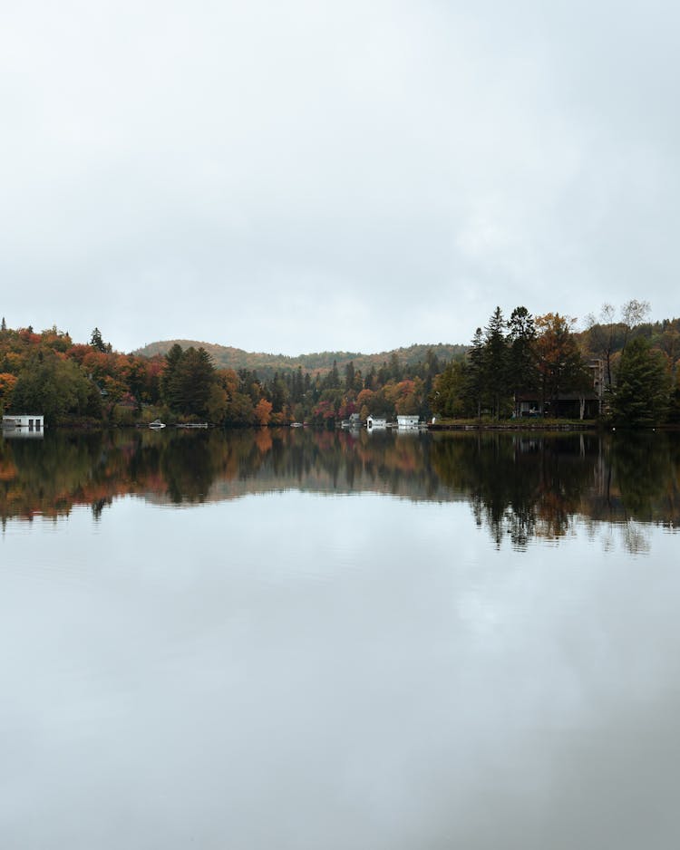 Calm Lake Surrounded By Trees Under The Sky