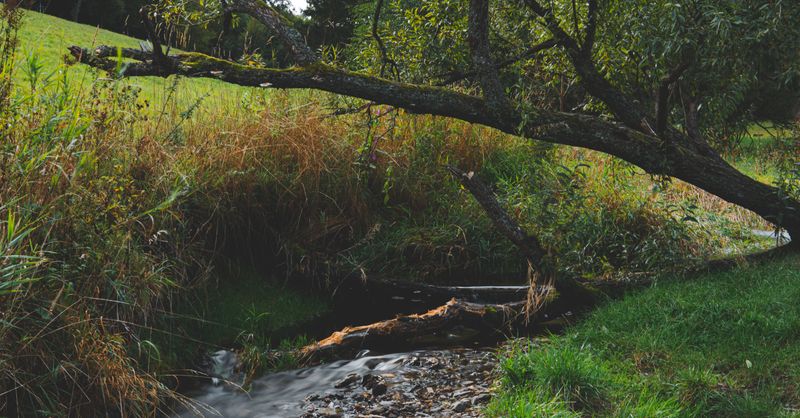 Un ruisseau traverse mon terrain : à qui appartient-il et qui doit l’entretenir ?