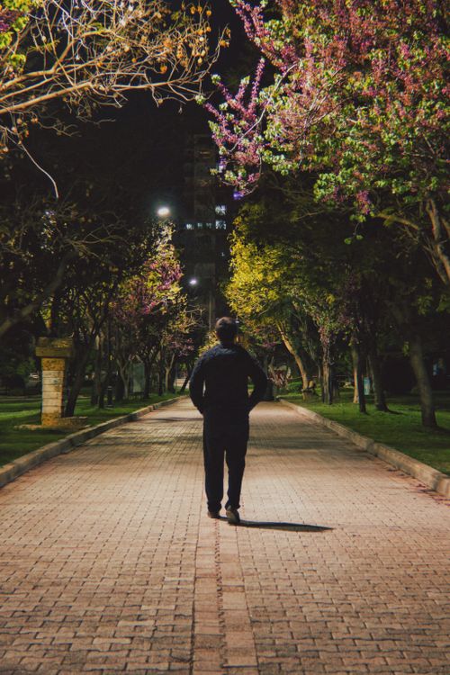 Free A person walking on a tree-lined pathway at night under street lights. Stock Photo