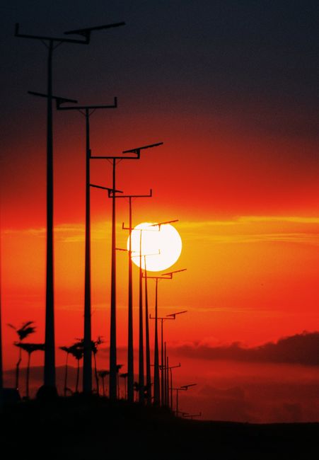 Silhouetted street lights against a dramatic orange sunset sky.
