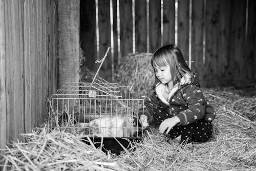 Girl and Rabbit in Cage in Barn