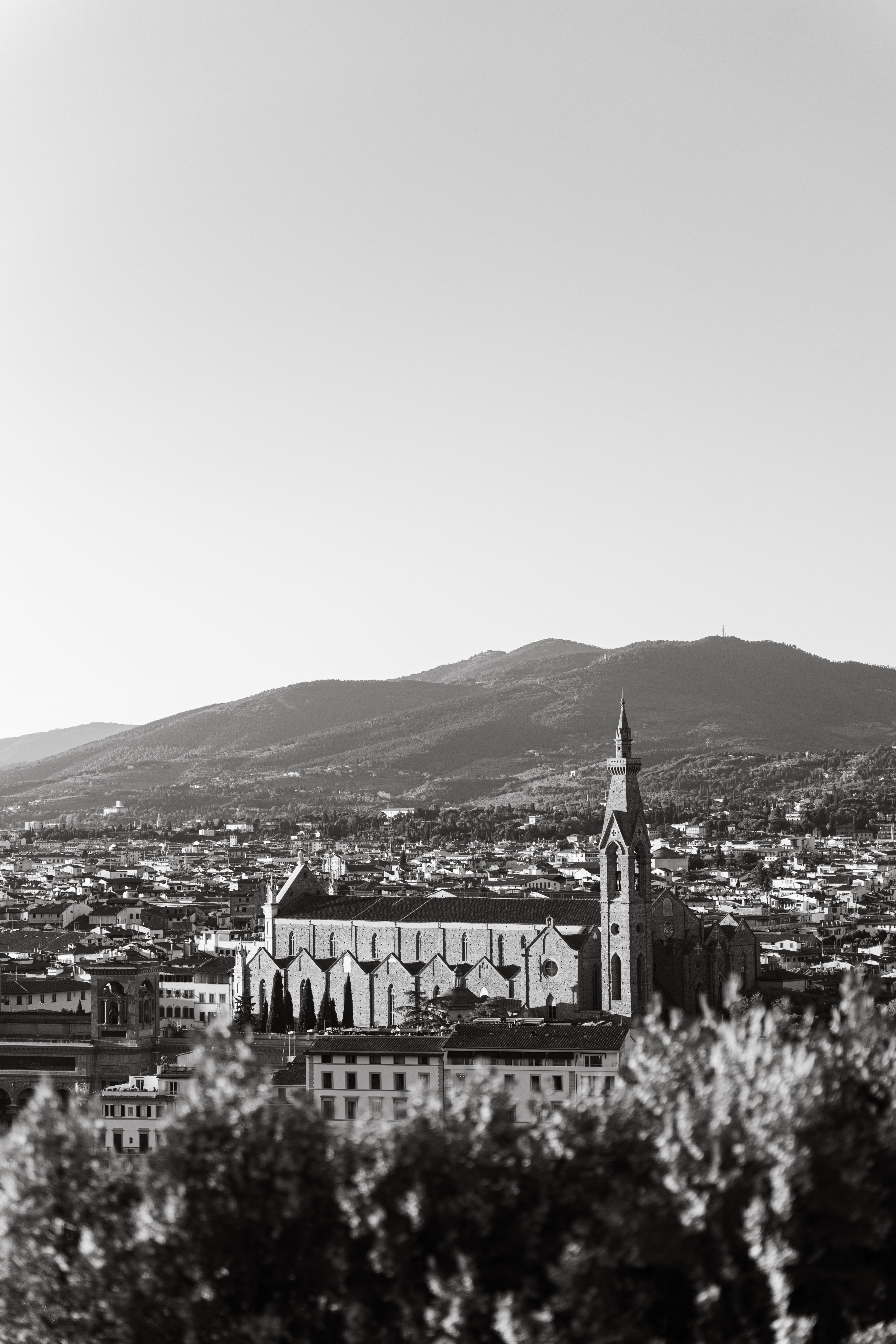 Stunning black and white aerial view of Florence showcasing its iconic cathedral against the Tuscan landscape.