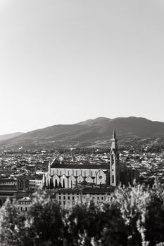 Stunning black and white aerial view of Florence showcasing its iconic cathedral against the Tuscan landscape.