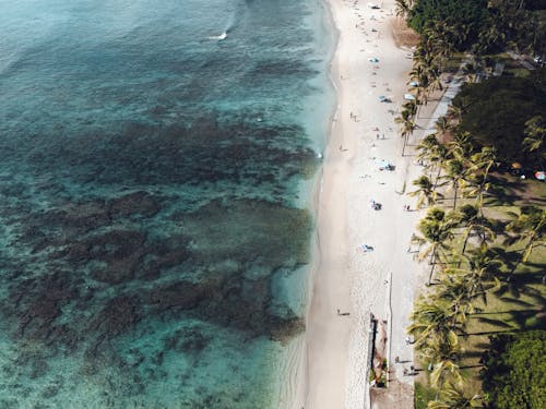 An Aerial Photography of People on the Beach