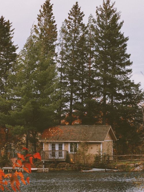 Free A cozy lakeside cottage surrounded by tall pines and autumn foliage, offering a tranquil retreat. Stock Photo