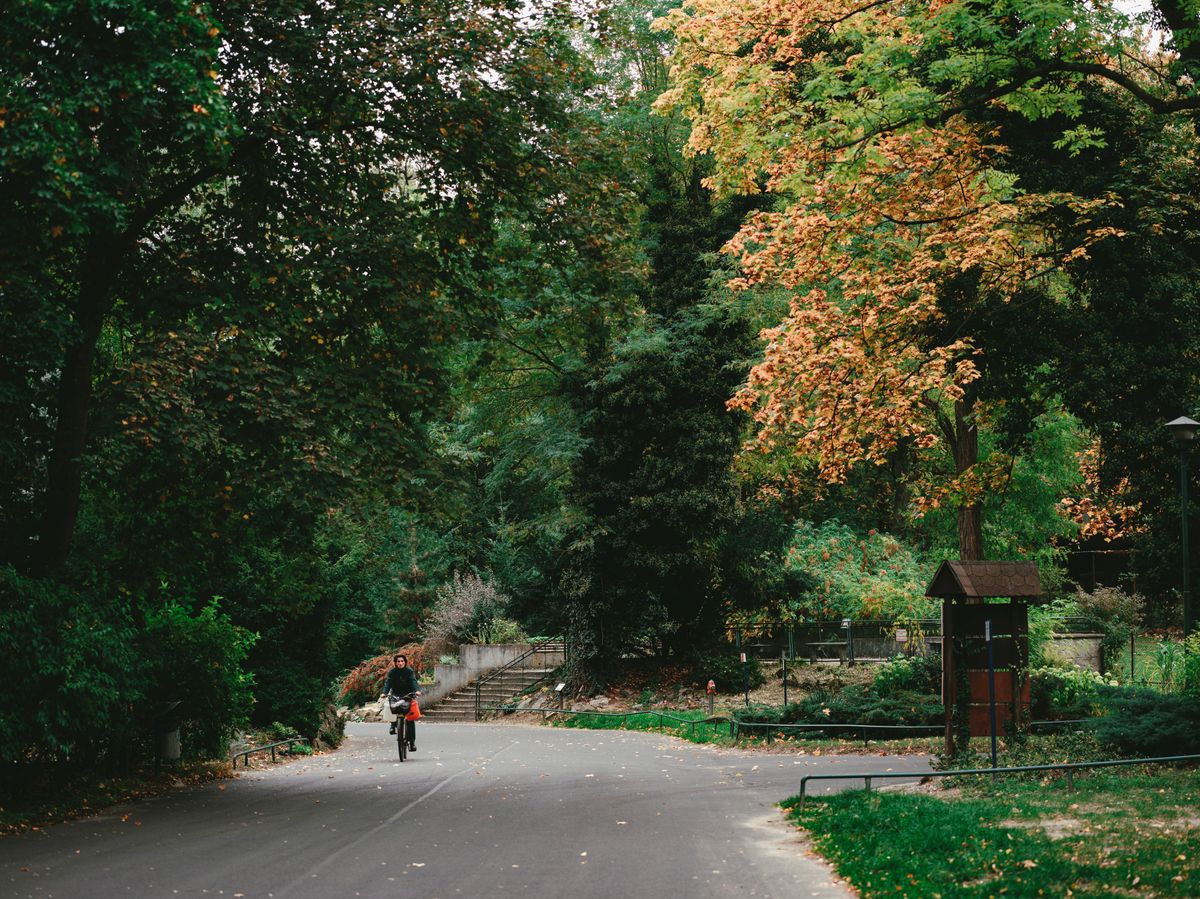 Ein Spaziergang im Park: Was ich sehe und mache