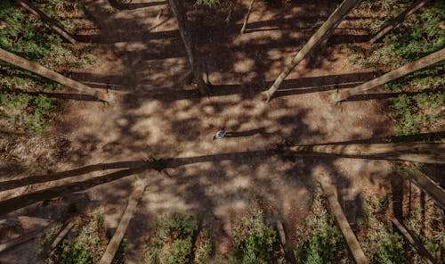 Aerial Photography of a Person in the Forest