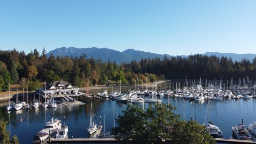Free Stanley Park Stock Photo