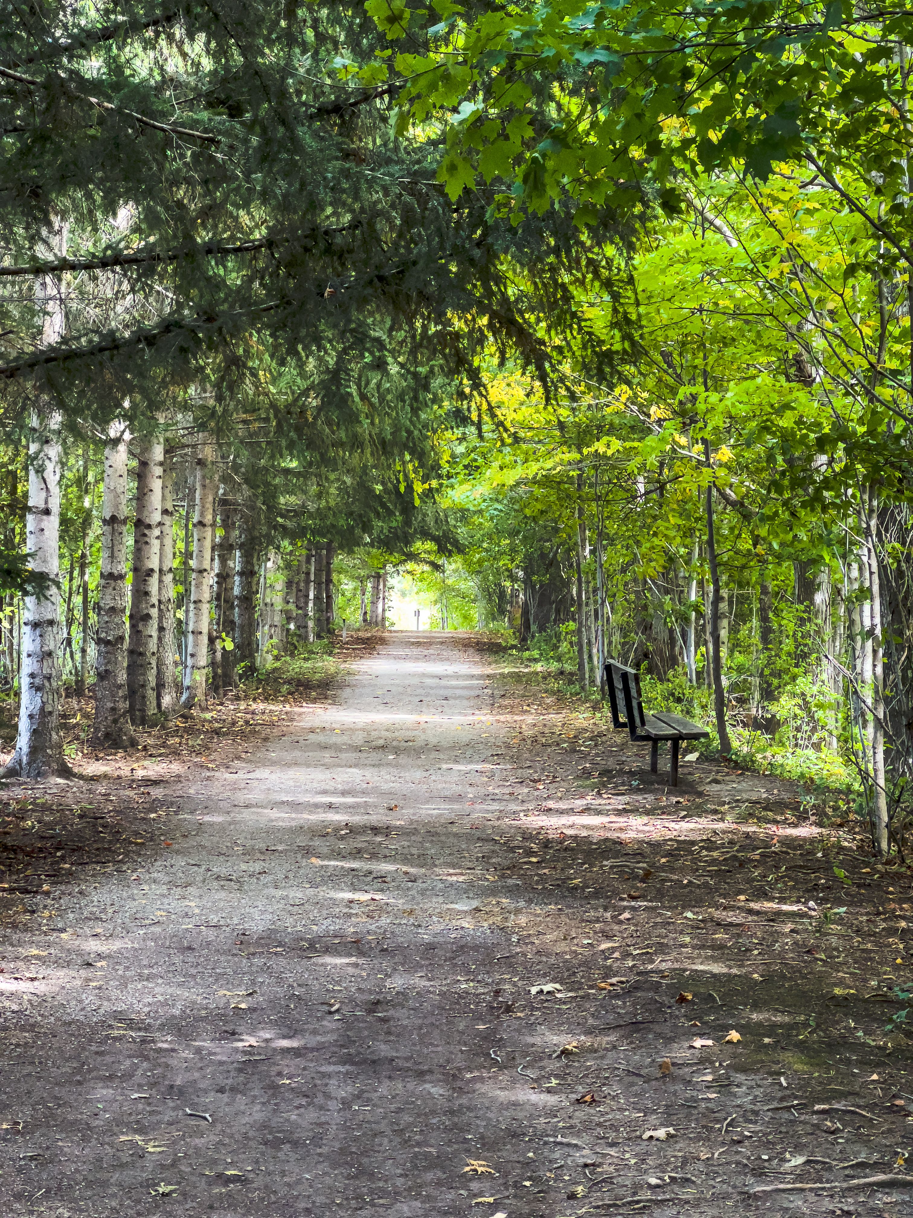 Wooden Bench in a Park · Free Stock Photo