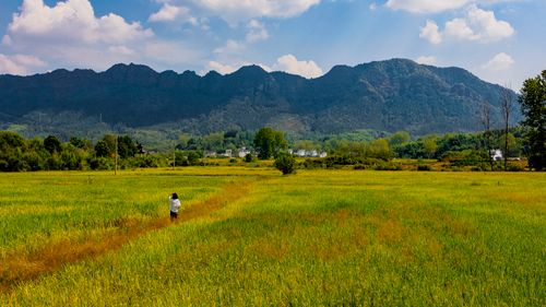 Free A person walks through vibrant green paddy fields with majestic mountains under a partly cloudy sky. Stock Photo