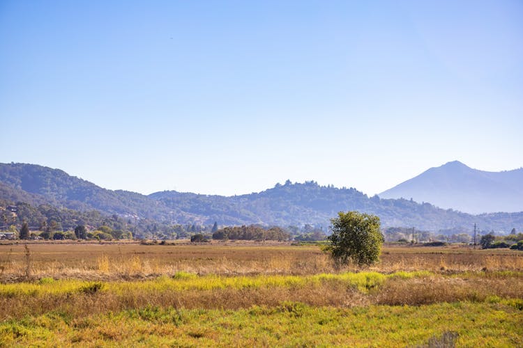 Grass Field Near Mountains Under The Sky