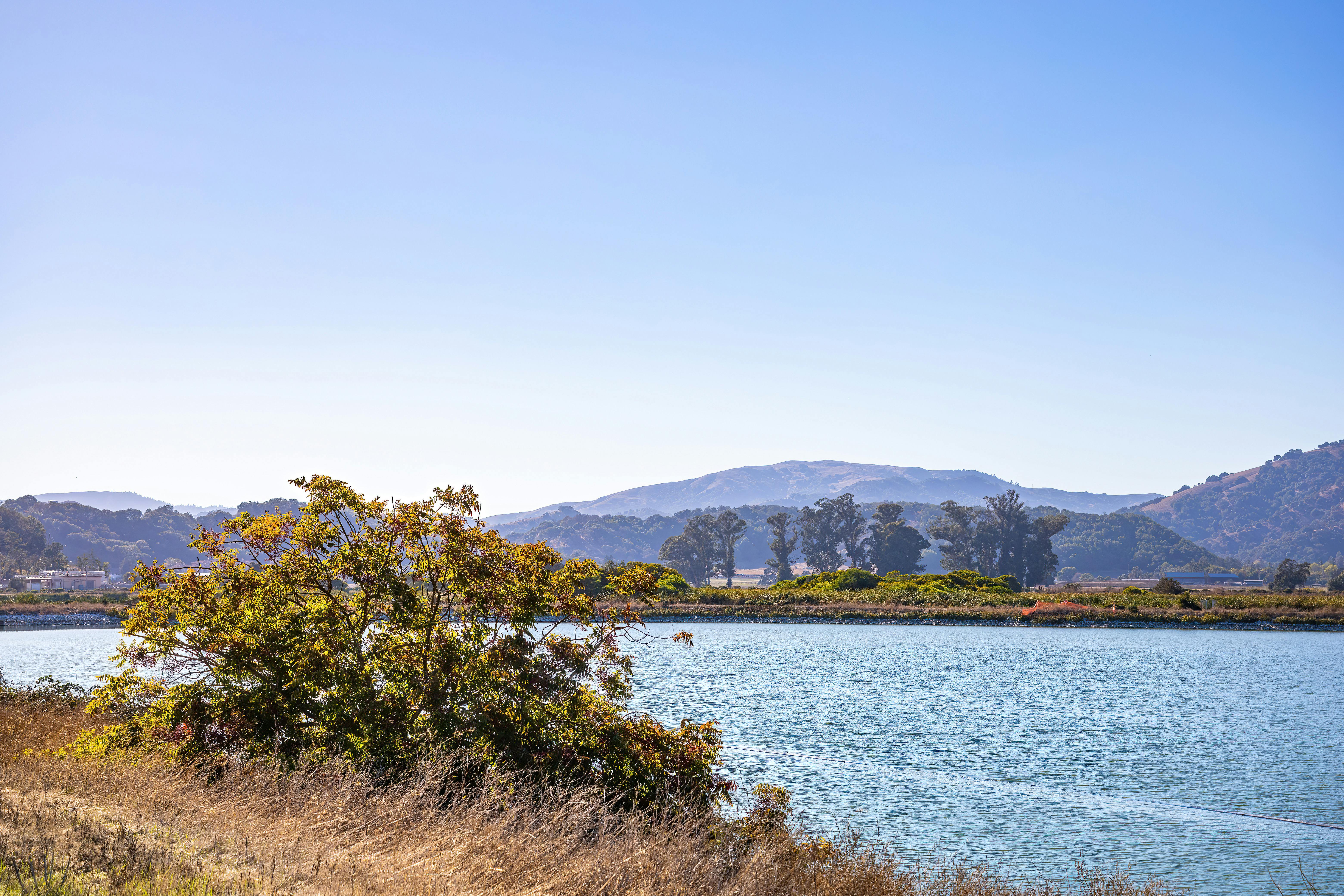 San Dimas, California