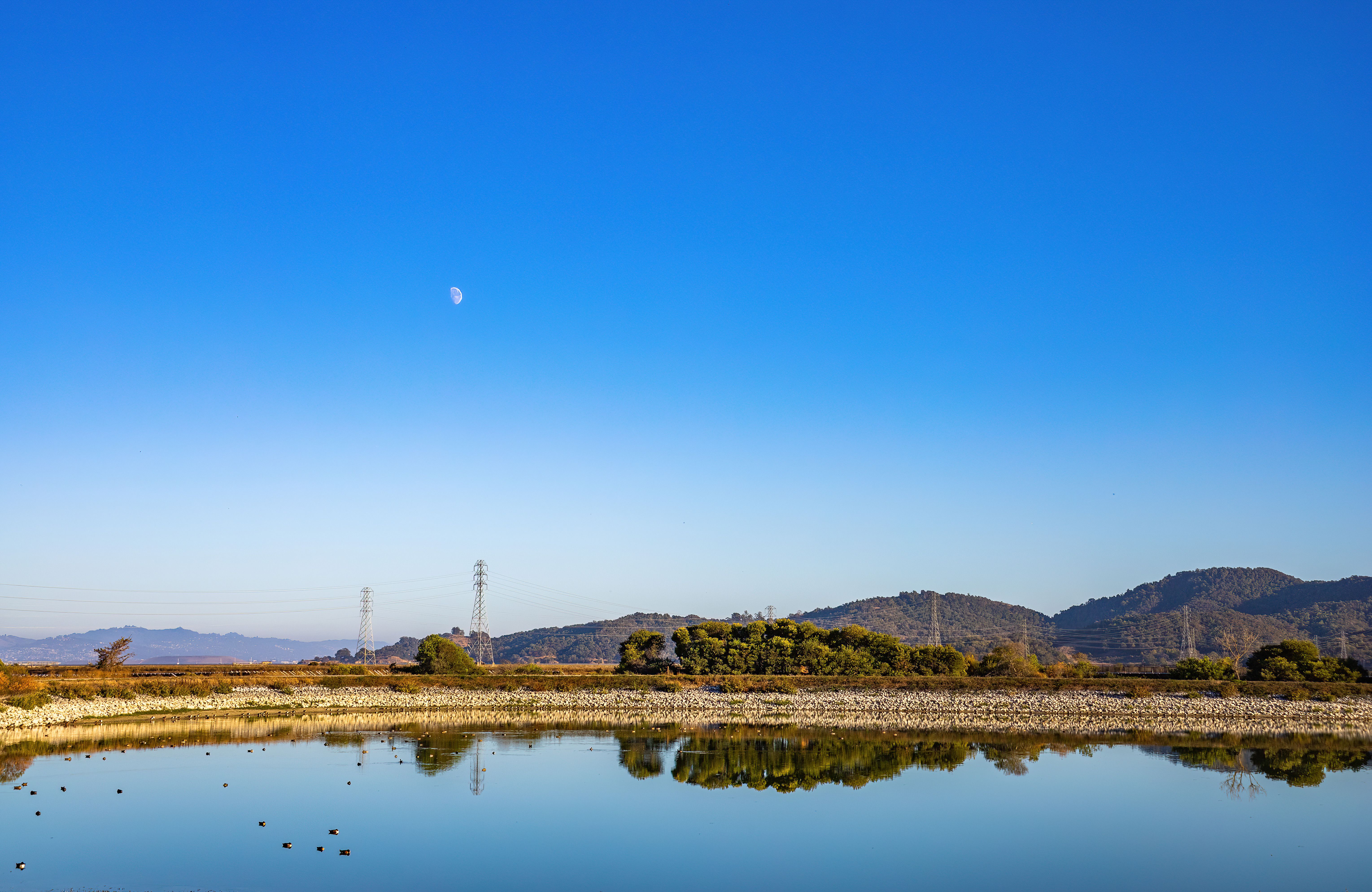 Calm Lake under the Blue Sky · Free Stock Photo