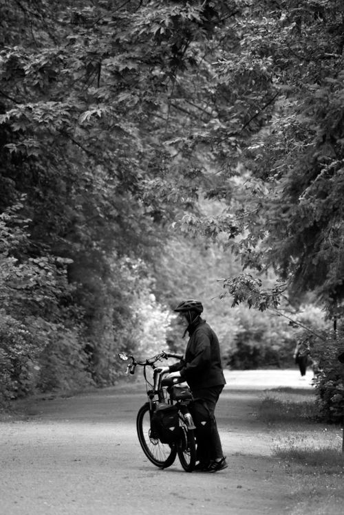 Free A cyclist pauses on a serene forest path captured in black and white. Stock Photo