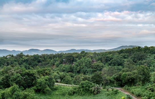 Beautiful view of lush green hills and forests in Chiang Rai, Thailand under a cloudy sky.