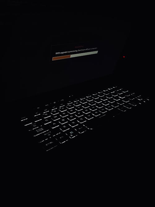 Free stock photo of backlight, black, dark