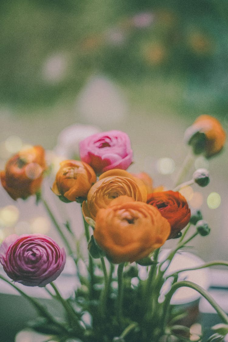 Flowers Growing In Garden