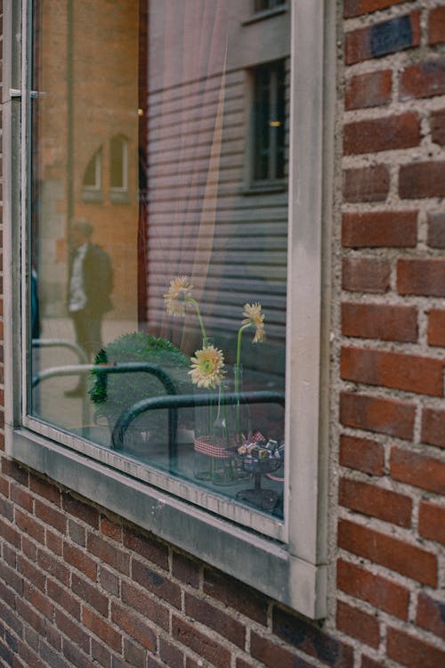 Reflection of Standing Person in Window