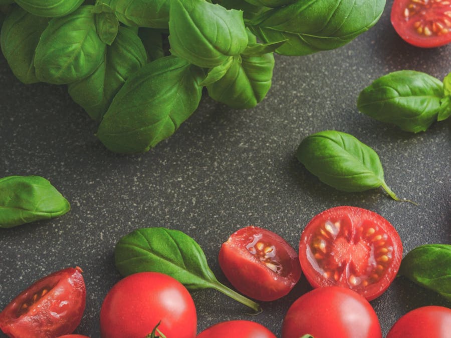 Should you keep tomatoes in the fridge?