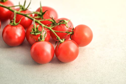Gratuit Photographie En Gros Plan De Tomates Photos