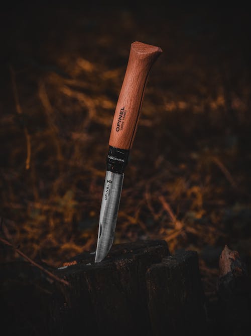 Close-up of a Folding Knife Stuck in a Tree Stump 