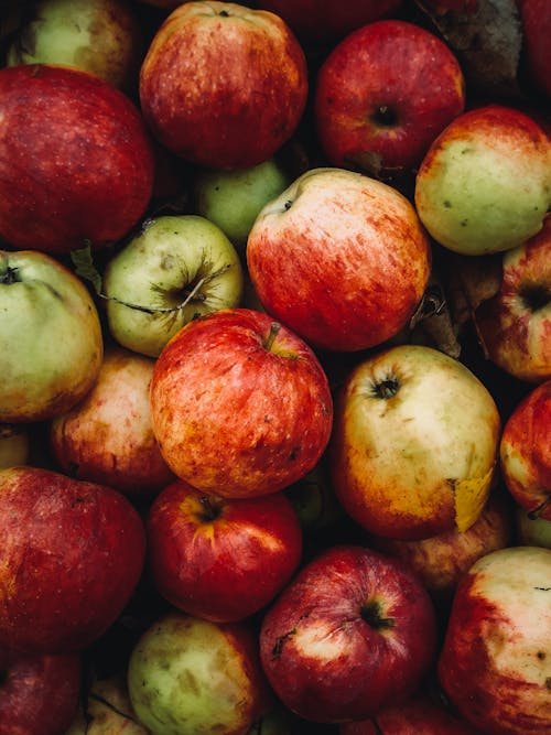 Gratis stockfoto met appels, detailopname, fris