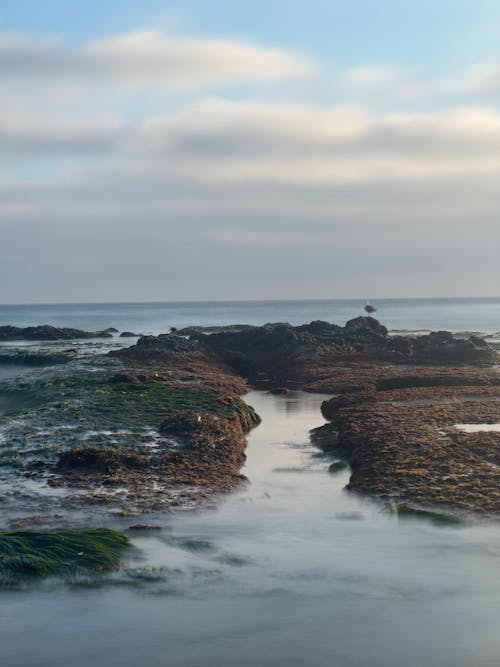 Foto d'estoc gratuïta de costa rocallosa, exposició prolongada, fons de pantalla d'Android