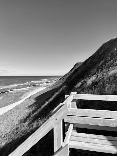 Fotos de stock gratuitas de al aire libre, al lado del océano, blanco y negro