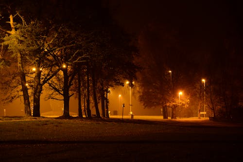 Základová fotografie zdarma na téma noc, park, pouliční lampy
