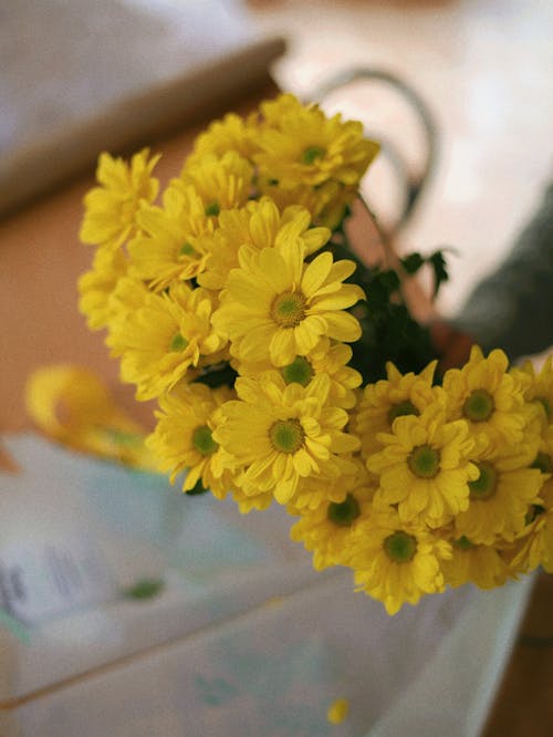 Yellow Flowers in Close Up Photography